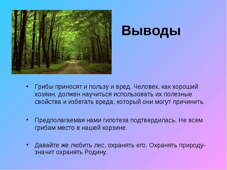 Какая польза для человека. Вывод про грибы. Польза от грибов. Вывод проекта о грибах. Грибы вред и польза для человека.