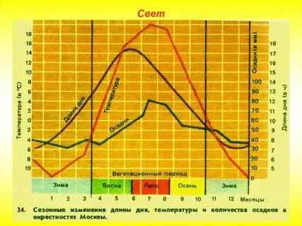 Сезонные изменения продолжительности светового дня и высоты