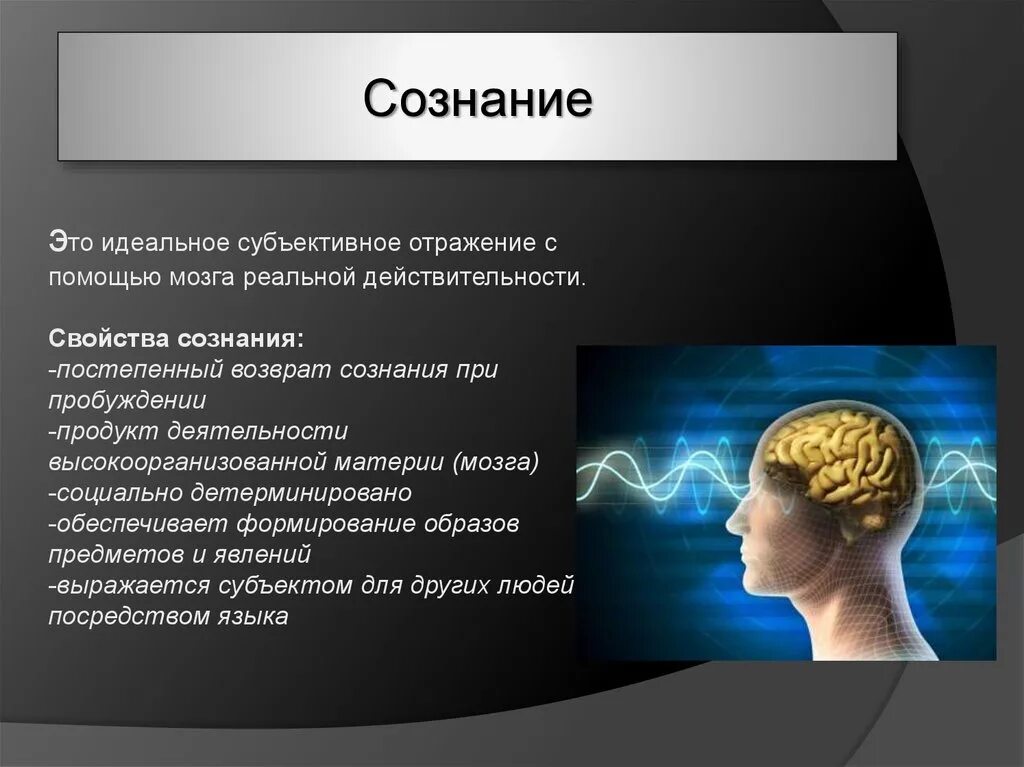 Сознание реально. Сознание реально