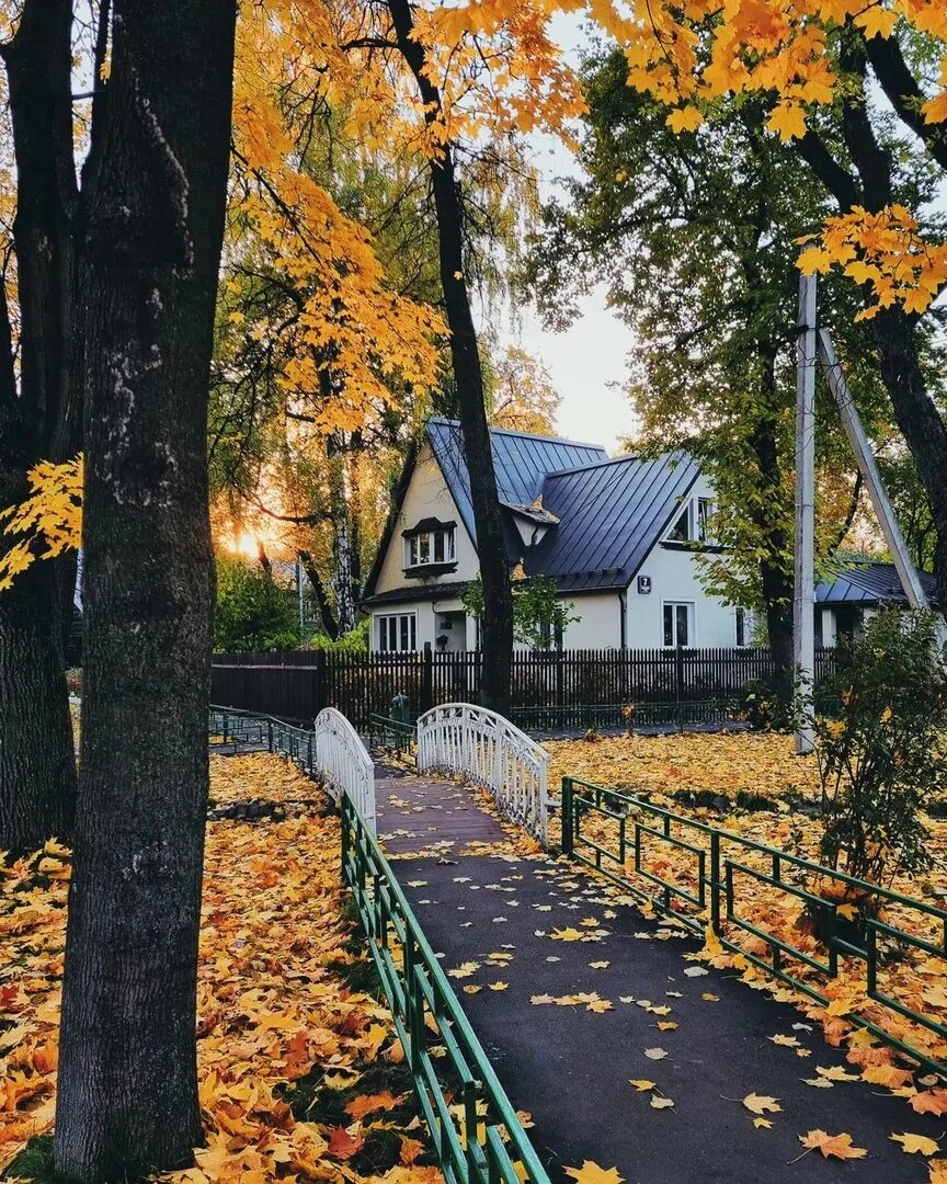 Поселок сокол. Посёлок сокол москва. Посёлок художников на соколе. Поселок писателей на соколе. Поселок писателей сокол.
