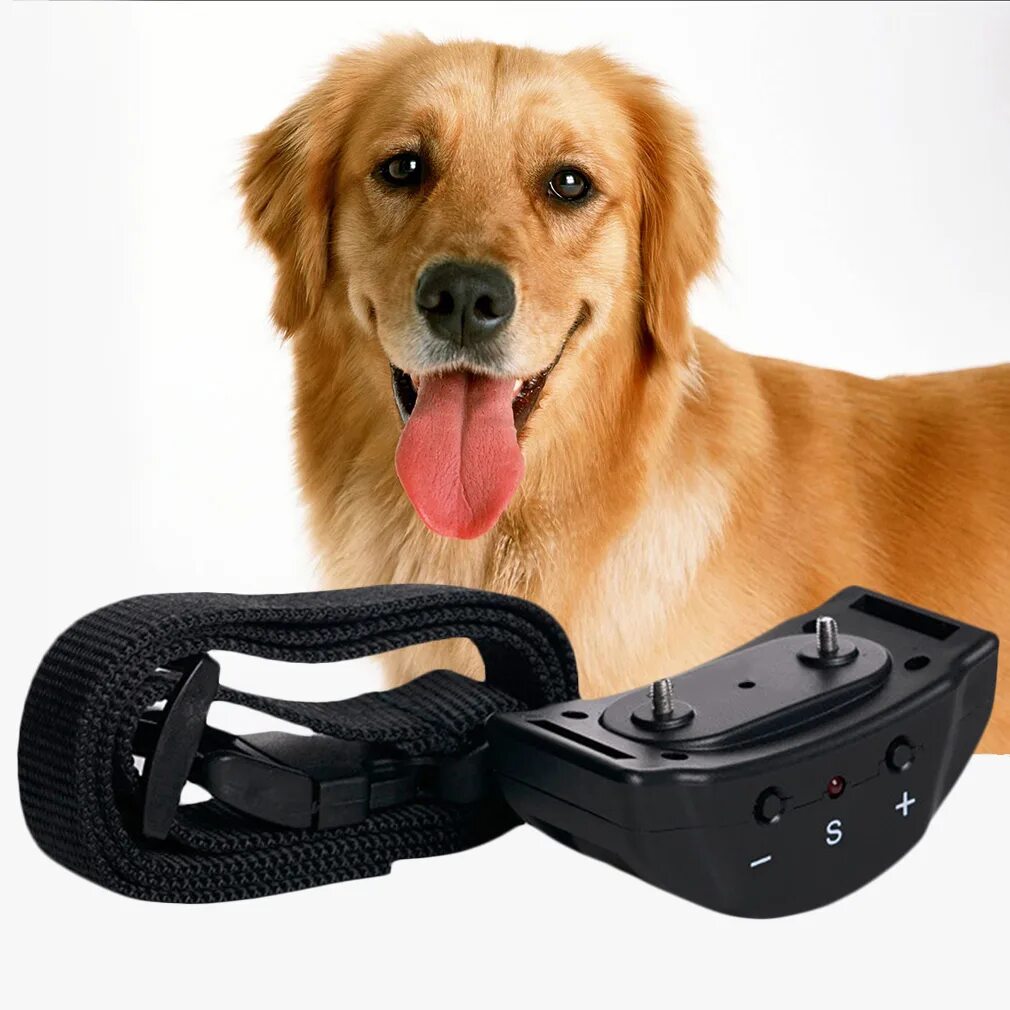 Ошейник антилай / электронный. Электронный ошейник для собак Dog Training Collar. Электроошейник для собак с пультом антилай. Ошейник антилай для маленьких собак. Vc 6 pet