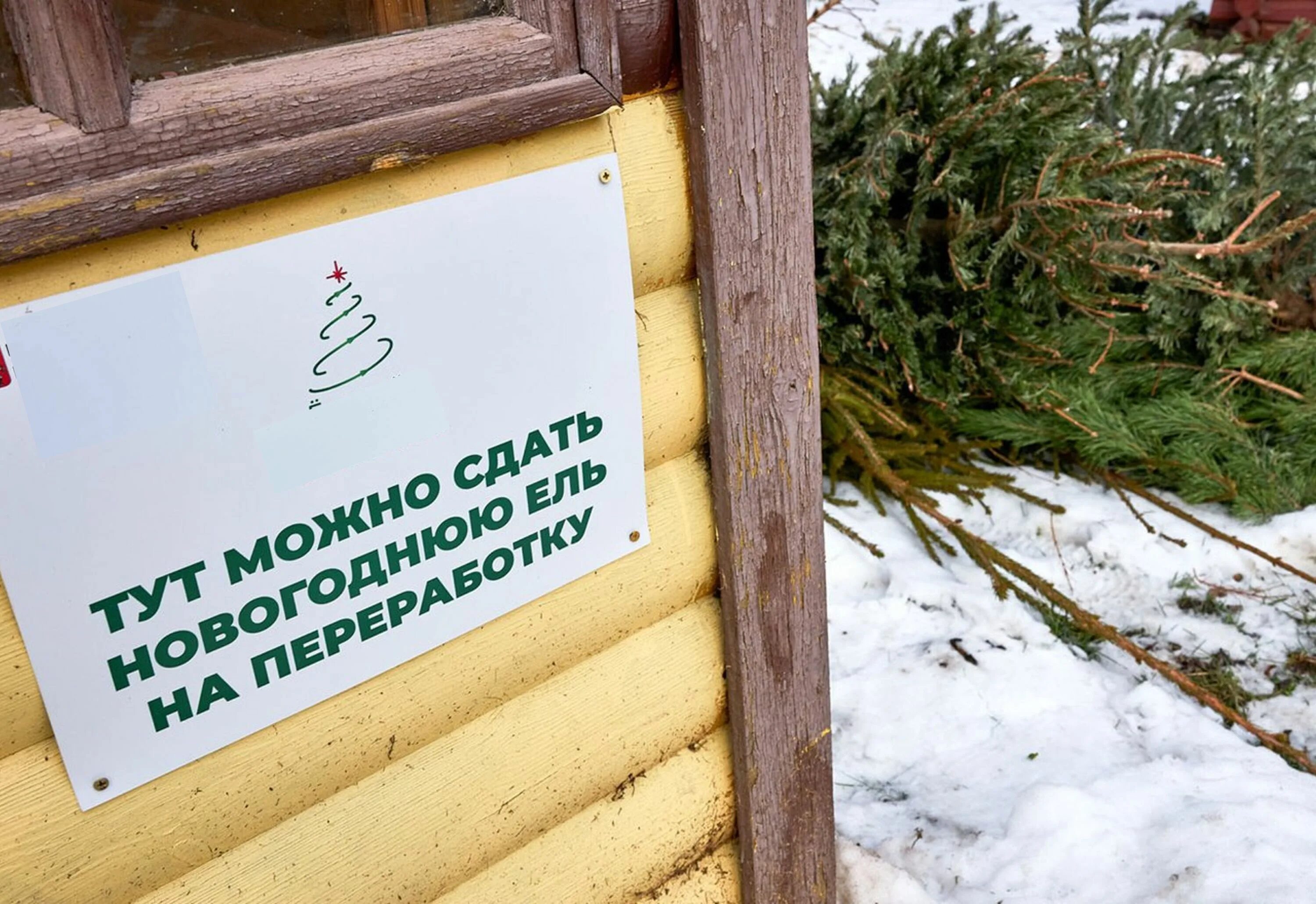 Где сдать елку на утилизацию в москве