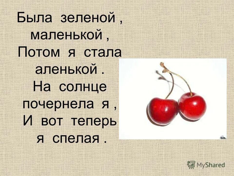 загадка была зелёной маленькой потом я стала аленький. была зелёной маленькой потом я стала аленькой отгадка. была зелёной маленькой. была зелёной маленькой потом я стала аленькой. была зелёной маленькой потом я стала аленькой на солнце почернела.