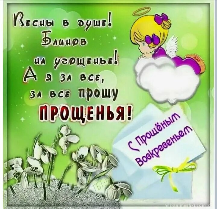 Попросить прощения или прощение. С прощенным воскресеньем. прошу прощения в прощенное воскресенье. прощенное воскресенье поздравления. прощеное воскресенье открытка.