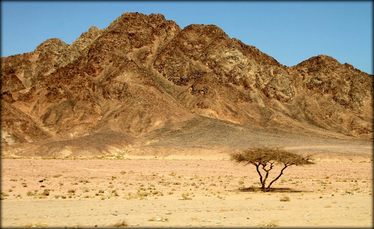 Гора синай вершина. Цветные горы по дороге на синай. Мухафаза южный синай. Южный синай. Египет.