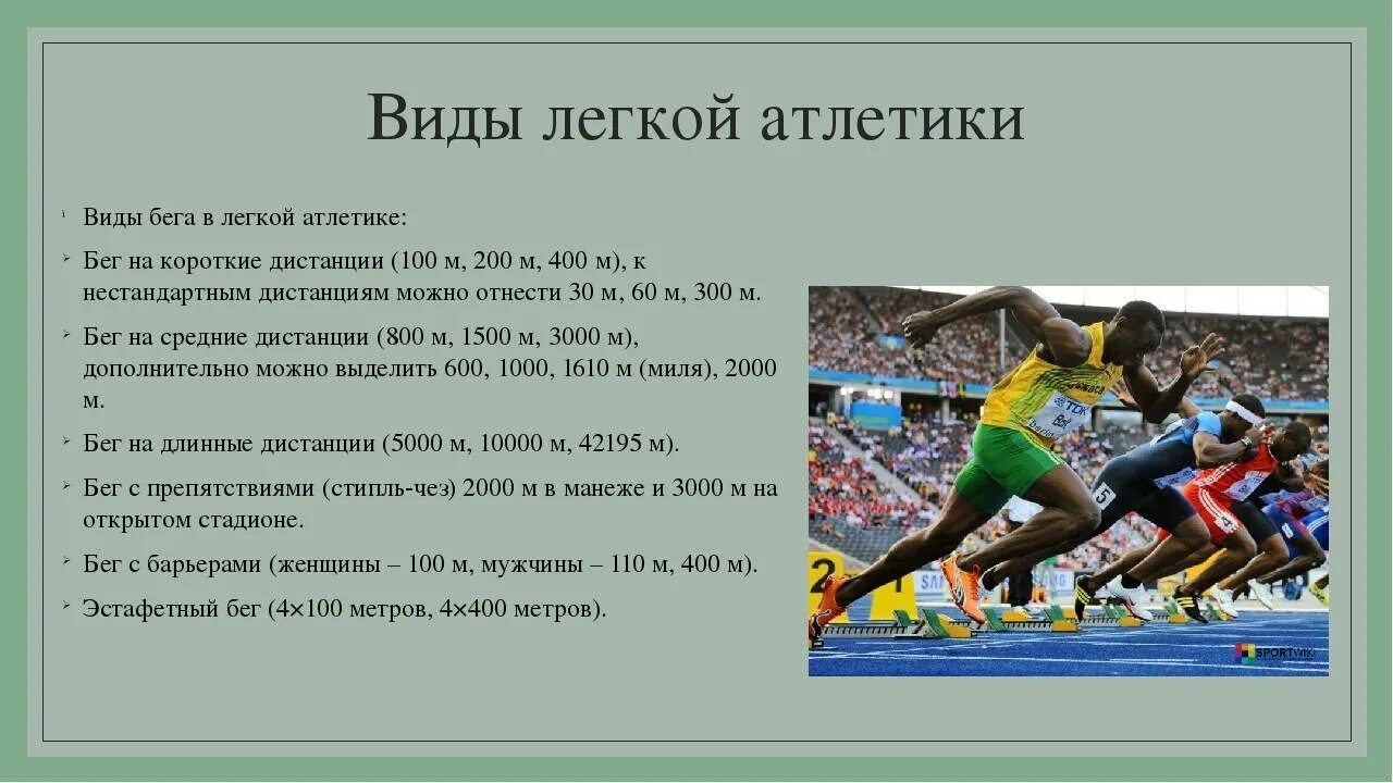 Какие дистанции входят в легкую атлетику