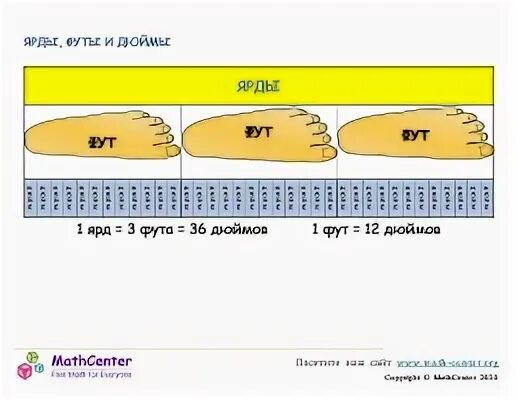 Футы в дюймы