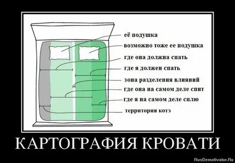 Зона засыпает текст
