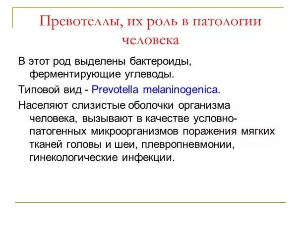 Prevotella что это такое у женщин