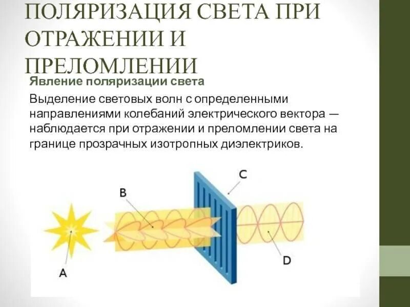 Поляризованный свет. Поляризованный свет закон малюса. Поляризация света это в физике. Максимально поляризованный свет. Явление поляризации света.