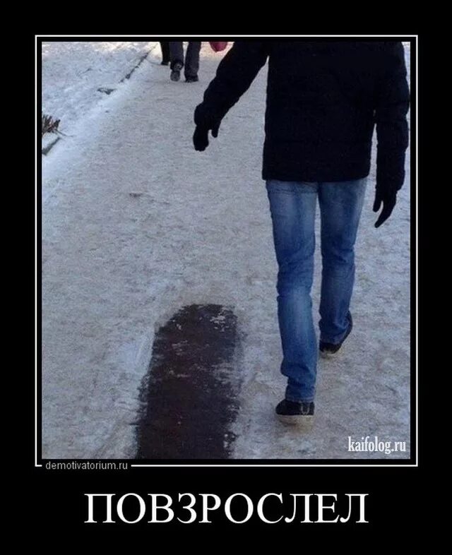 Ёжик с узелком на палочке прикол. -джеки чан: состарился, не успев повзрослеть. Не успевшим повзрослеть. Не успевшим повзрослеть. Я верю в чудеса и хороших людей.