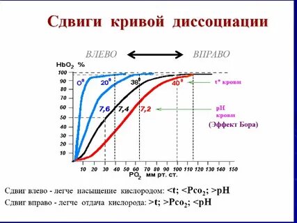 Сдвиг влево сдвиг вправо