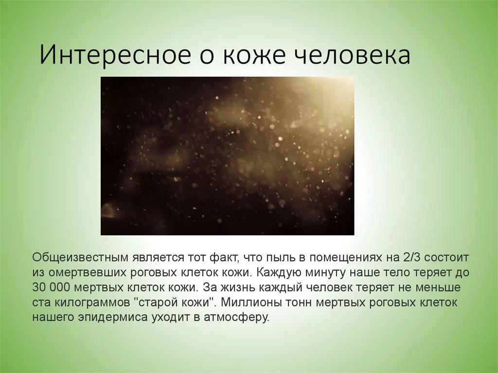 Интересные сведения о человеке. Интересные факты о коже. Факты о коже человека. Сообщение о коже интересные факты. Самые интересные факты о коже человека.