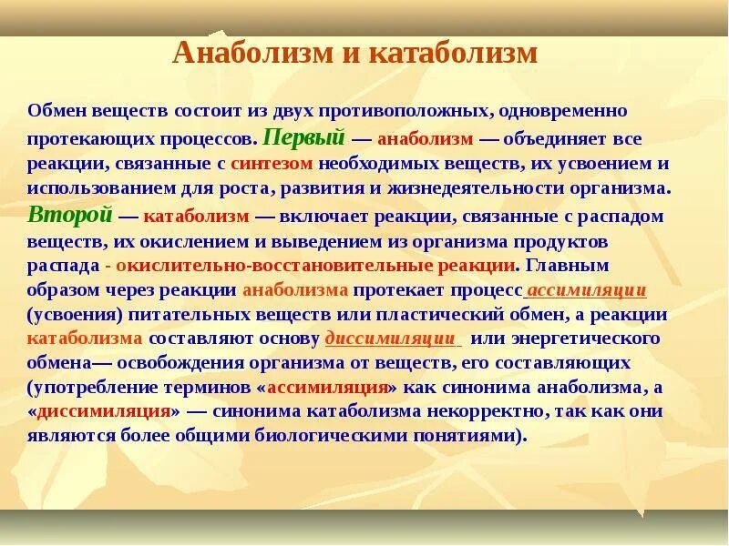 Анаболические процессы. Анаболические процессы. Характеристика процессов анаболизма и катаболизма. Процессы анаболизма. Процессы катаболизма и анаболизма.
