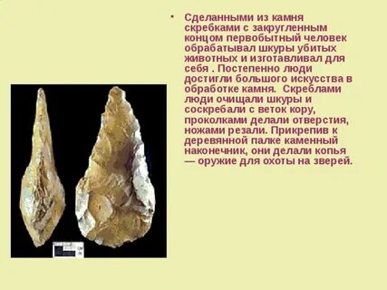 Для чего нужны скребки