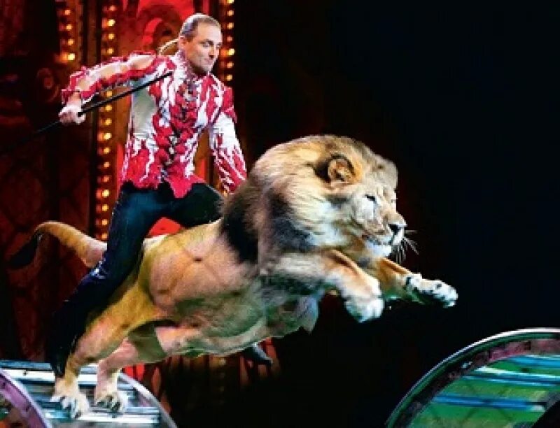 Братья циркачи. Династия запашных циркачи. Братья циркачи. Братья циркачи. Дрессировщики тигров братья запашные.