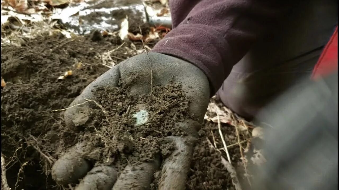 Лежал неподвижно непролазные места реставрация. Находки в огороде. Самые невероятные находки в огороде. Откопали земляных муравьев. Находки на огородах фото.