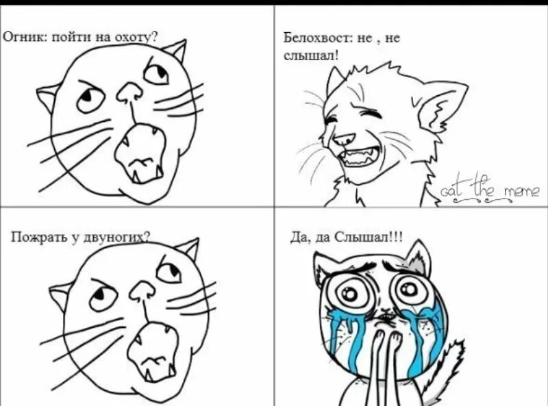 Коты воители тесты трикки. Коты воители swiftpaw арты. Коты воители вьюнозвёзд. Коты воители воробей и львиносвет. Коты воители тест ты новый персонаж трикки.