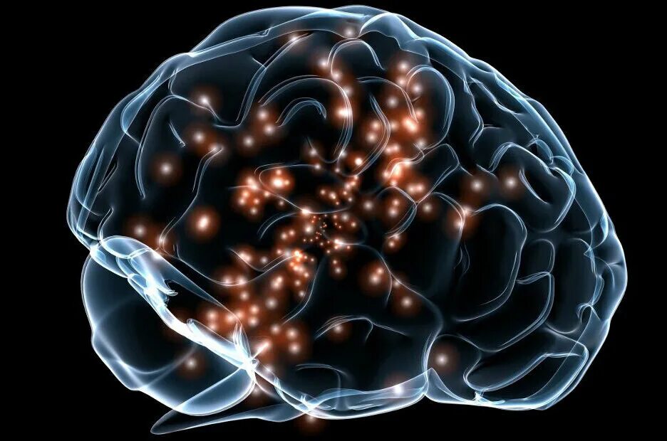 Brain 200. Нейроны мозга. Нейронные связи головного мозга. Мозг человека Нейроны. Клетки головного мозга.