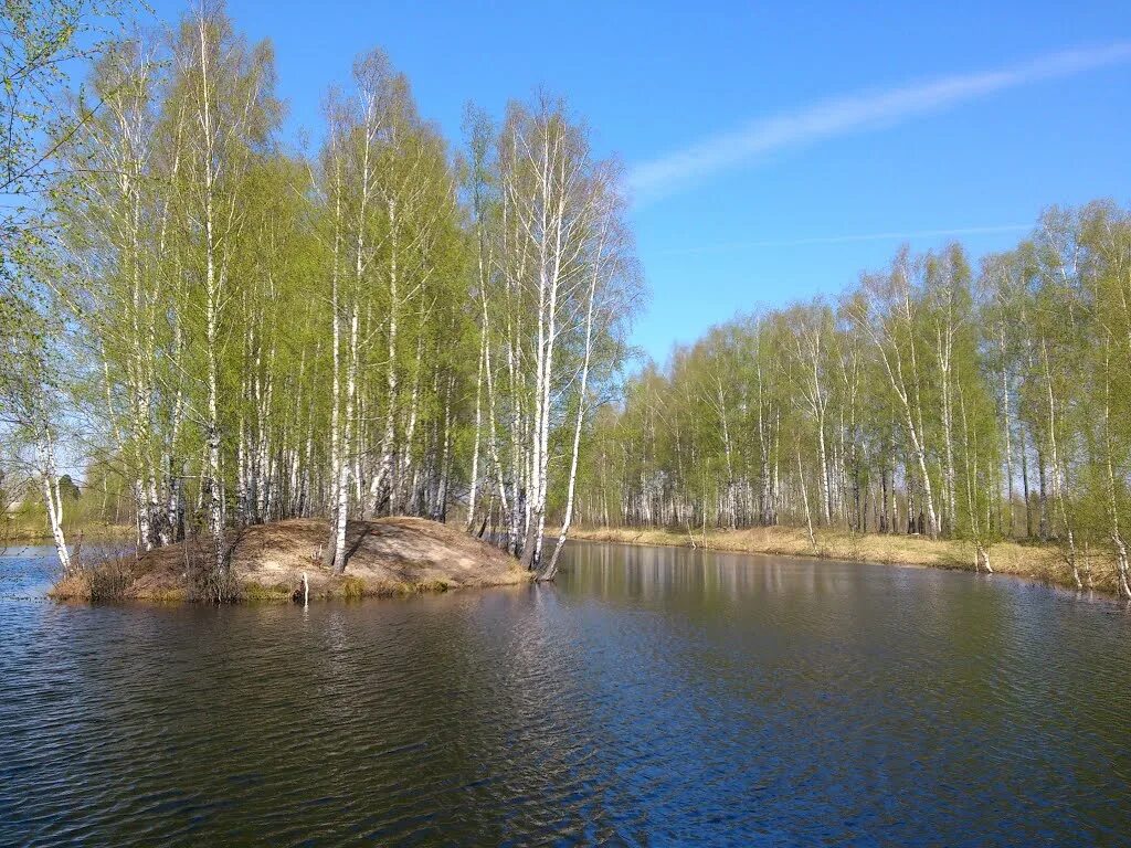 д. Озерки, 6 - Озерки