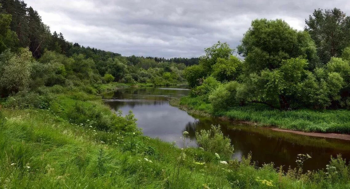 Деревня дунино усадьба пришвина. Пришвин и липецкий край. Река пришвин. Река пришвин. Пришвин и мещера.