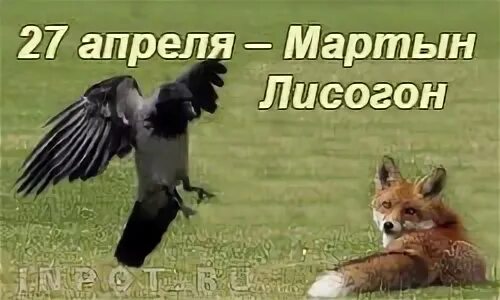 27 апреля короткий день