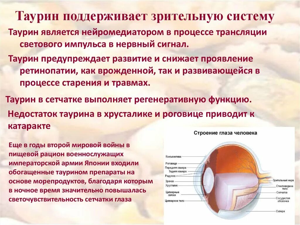 Таурин для глаз польза. Строение таурина. Таурин подсистема. Нехватка таурина в организме человека симптомы.