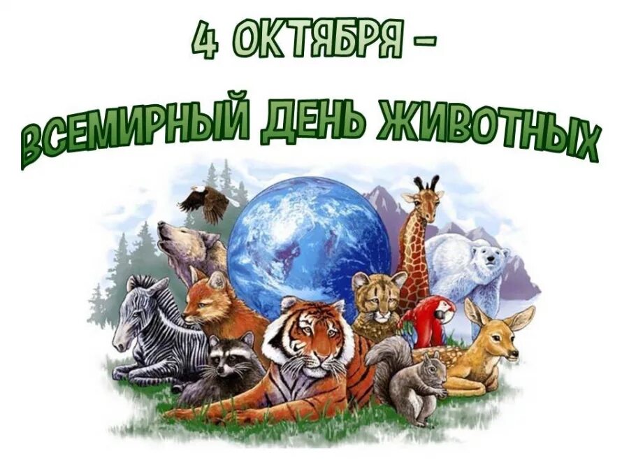 Животные 4 октября