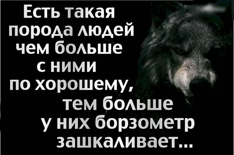 Своей работы более того есть