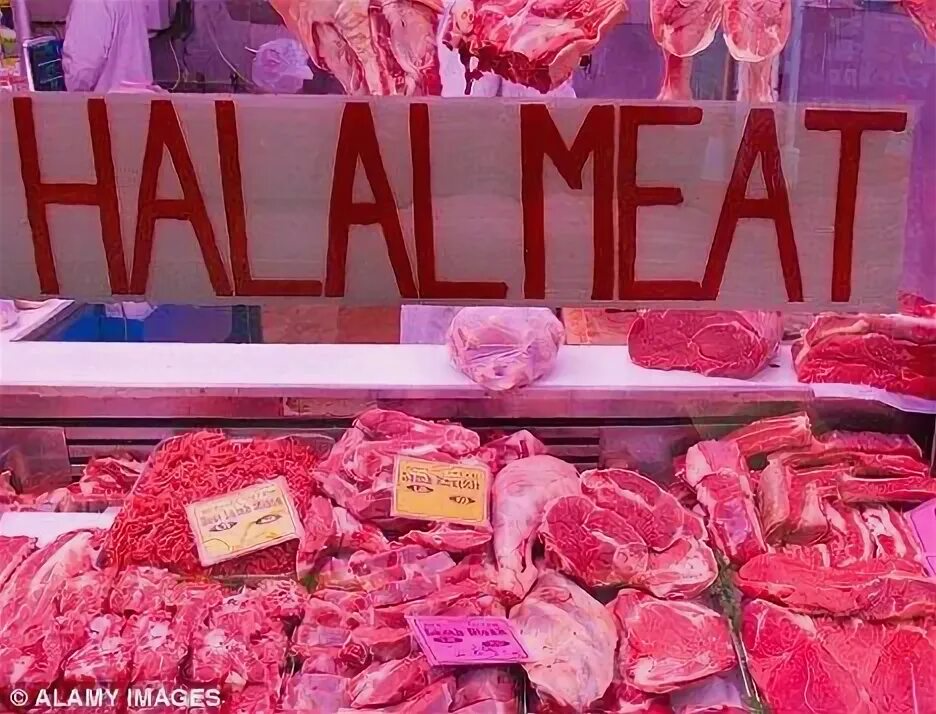 Мясо Халяль. Вывеска мяса Халяль красивая. Магазин Халяль мясо рядом. Сало Халяль. Халяль мясо рядом