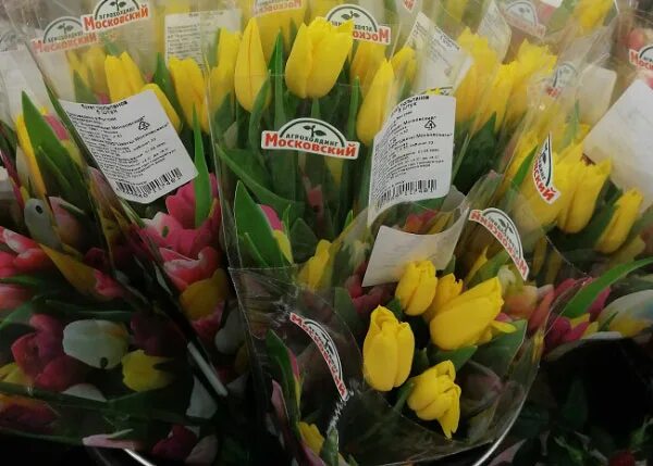 Живые цветы в пятерочке цена на сегодня. Дикси тюльпаны к 8. Тюльпаны в Дикси 2022. Магнит тюльпаны. Тюльпаны в Пятерочке.