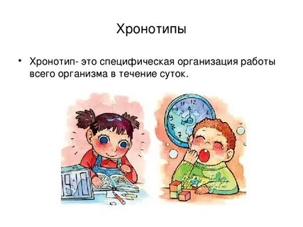 Хронотип