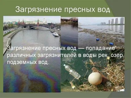 Виды пресных вод