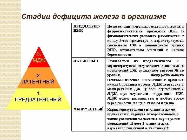 Клинические симптомы железодефицитной анемии. Этапы железодефицитной анемии. Дефицитные анемии этиология. Основное звено в терапии железодефицитной анемии. Основные клинические проявления железодефицитной анемии.