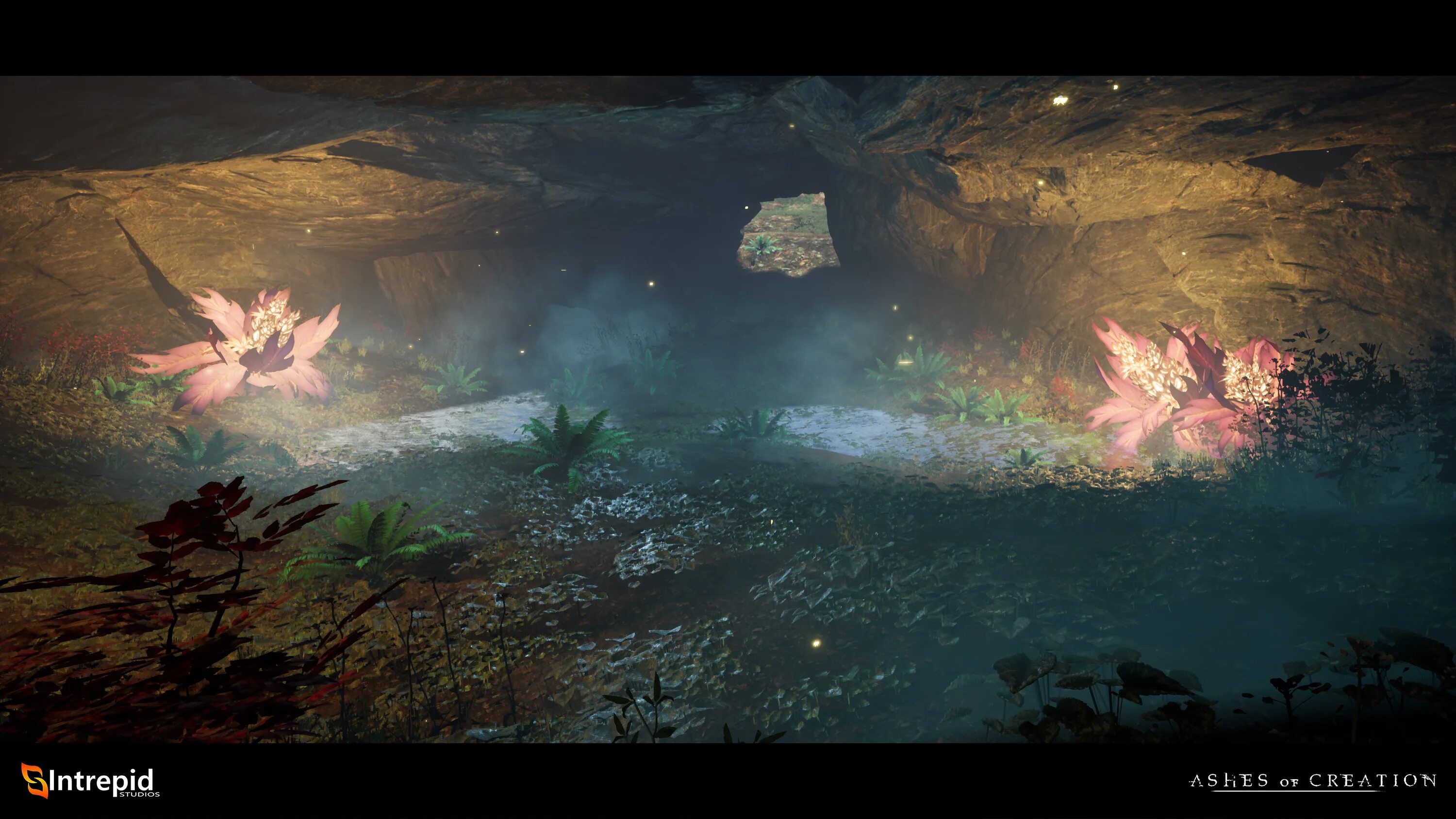 The issue of creation. Ashes of creation карта. ancient of creation. ashes of creation screenshot. гульнар ashes of creation.
