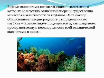 Водные экологические системы