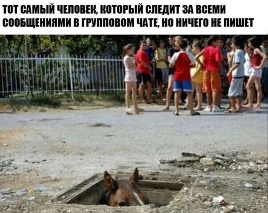 Чат нашего дома. Мем человек в беседе который молчит. Приколы про групповые чаты. Человек в групповом чате. Человек который всё читает но не пишет.
