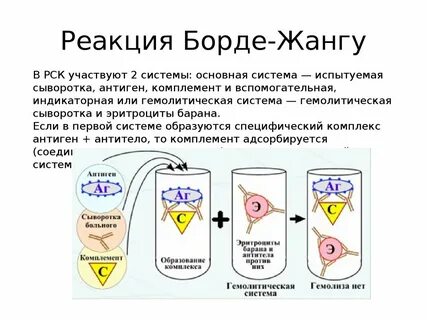 Рск что это