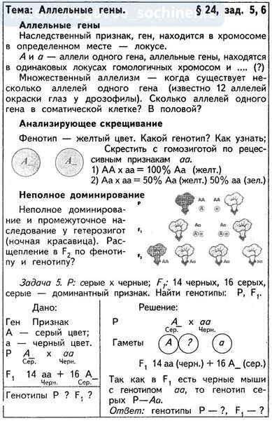 Задачи по генетике 9 класс биология с решением. Решение генетических задач по биологии 9. Решение генетических задач 10 класс биология. Задачи по генетике 9 класс таблица.