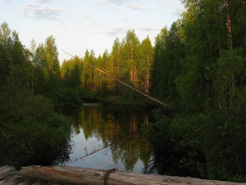 Погода в вирандозере. Нюхча (Карелия). Вирандозеро Беломорский район. Станция Нюхча Карелия. Колежма Беломорский район.