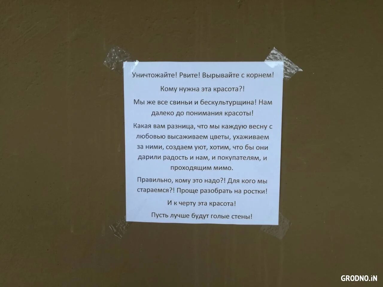 Воруют цветы в подъезде. Украли цветы в подъезде объявление. Объявление о цветах в подъезде. Объявление чтобы не воровали цветы в подъезде.