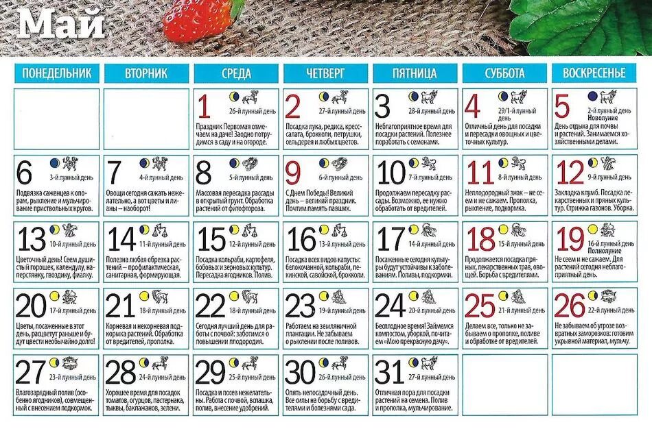Календарь садовода 2021 май. Посевной календарь на м. Лунный посевной календарь на май 2021. Лунный календарь на май 2021 года садовода и огородника. Благоприятные дни в апреле цветы