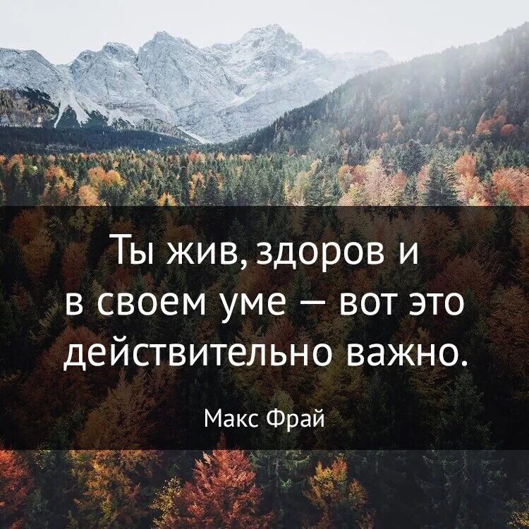 Что действительно важно в жизни