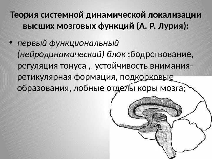 Модель а р лурии