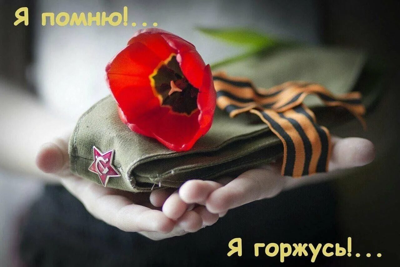 С днем победы 9 помним гордимся. Помним гордимся 9 мая. с днем победы помним гордимся. с днём победы 9 мая помним. я помню я горжусь победа.