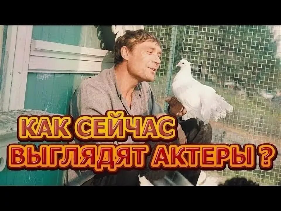 Сколько лет актрисе в любовь и голуби. Сколько лет актрисе в любовь и голуби
