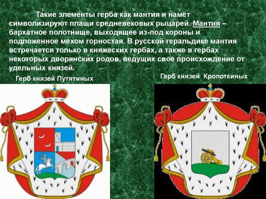 Намет или намёт в геральдике. Герб князей Репниных. Что такое геральдика кратко. Герб князей шуйских.