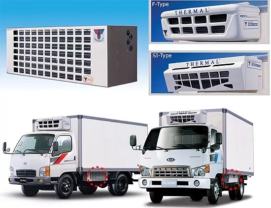 Занотти рефрижераторы z250sba. Занотти 120 b. Занотти рефрижераторы. Case thermal master c504. Global freeze gf45.