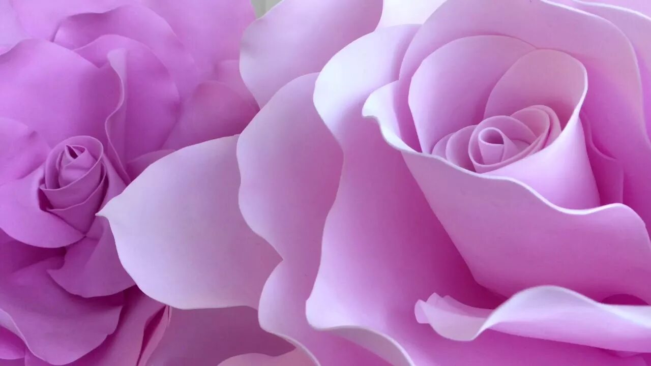 Цветы видео. Цветы видео. Шикарные большие букеты. Цветы которые распускаются. Красивое видео с цветами.