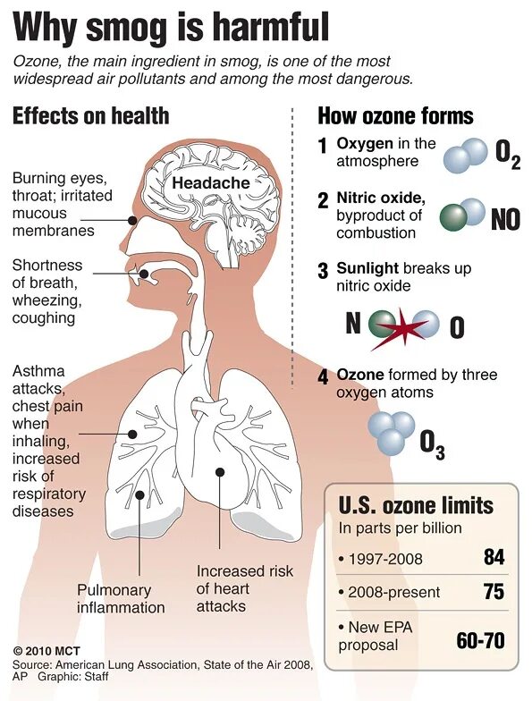 Smog Effect. Why Air pollution. Smog информация. The most harmful.